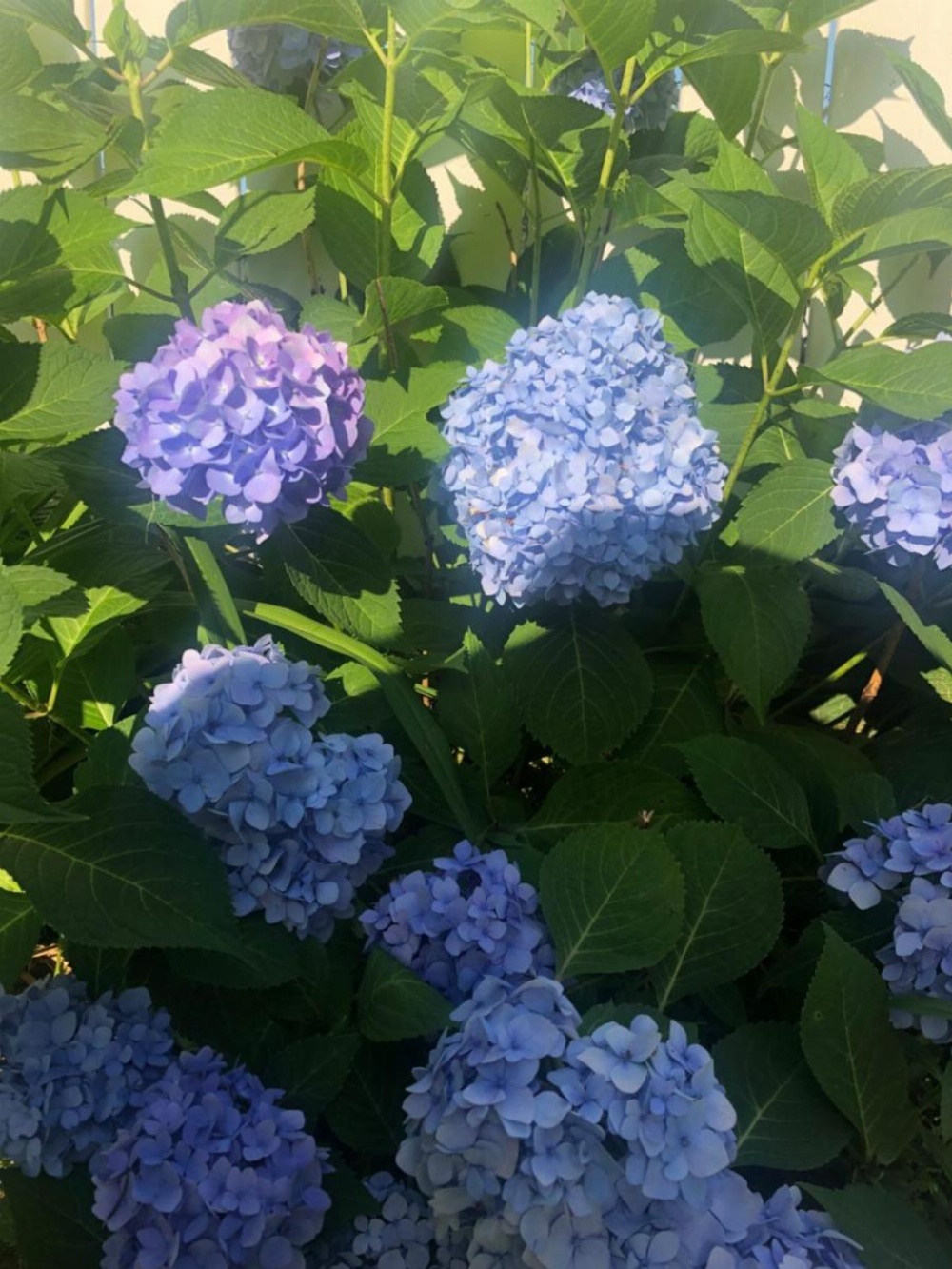 Ottaway Inn LLC Image 12