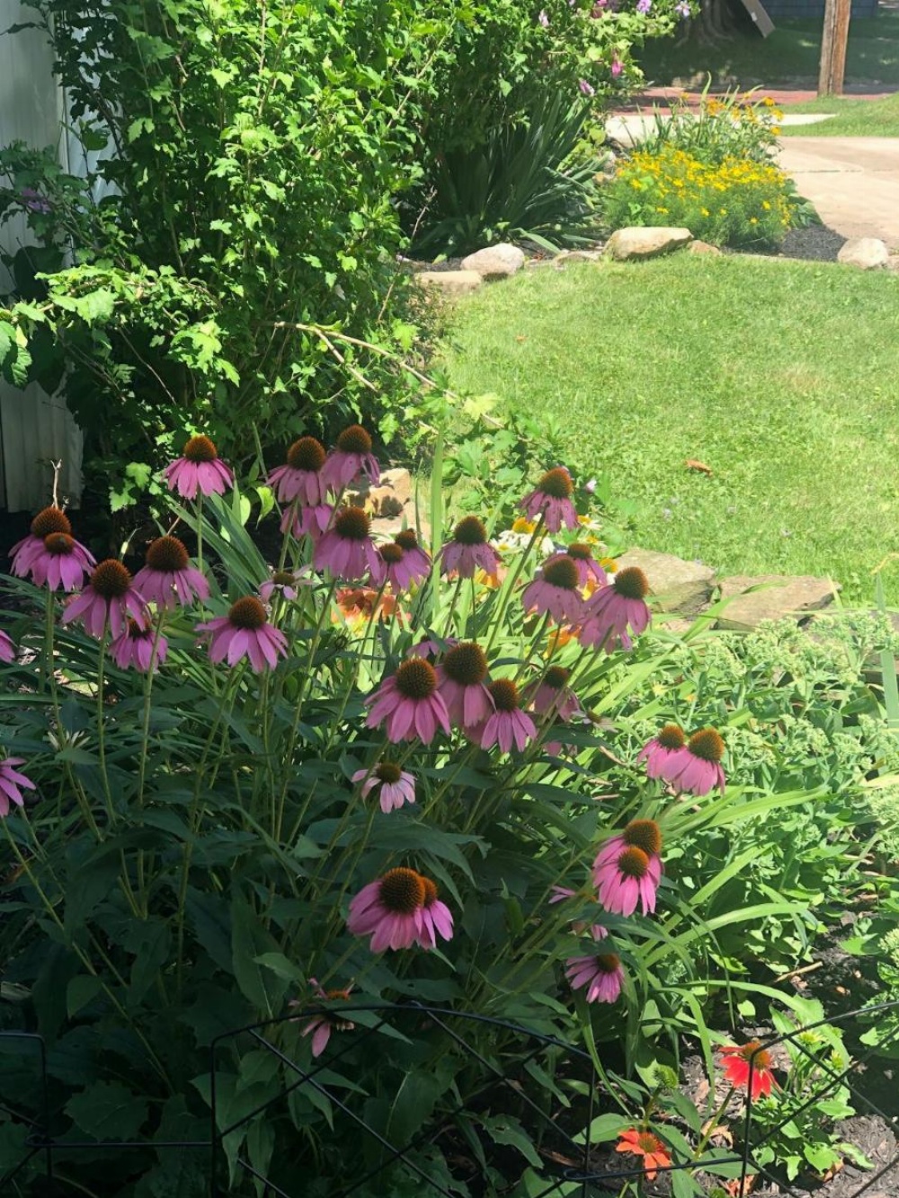 Ottaway Inn LLC Image 14