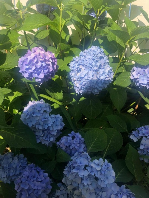 Ottaway Inn LLC image 18